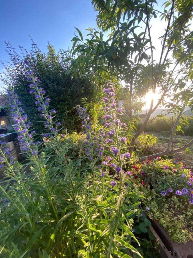 La Maison Du Potager Saint-Racho Kültér fotó